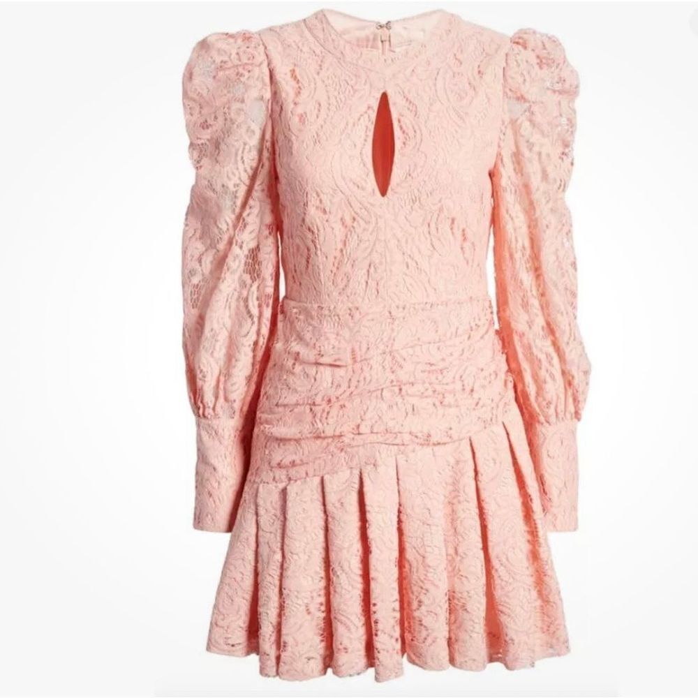NWT Bardot Krina Pleated Dress